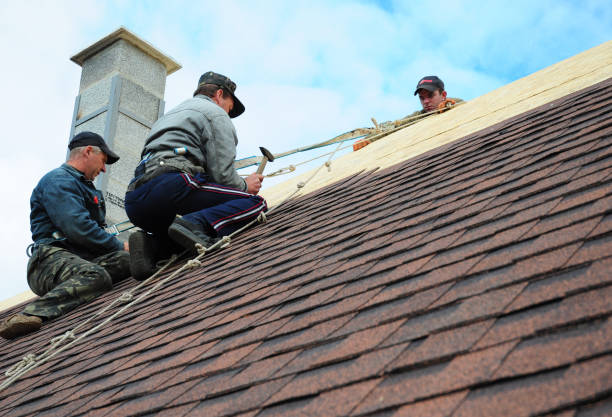 Professional Roofing Contractor in San Dimas, CA