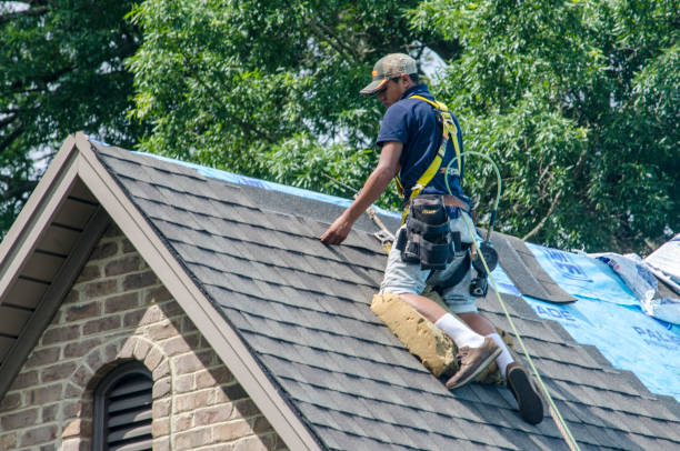 Roof Gutter Cleaning in San Dimas, CA